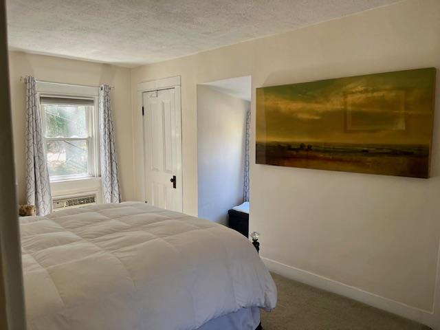 47 Mine Hill Road, Cornwall, New York image 16