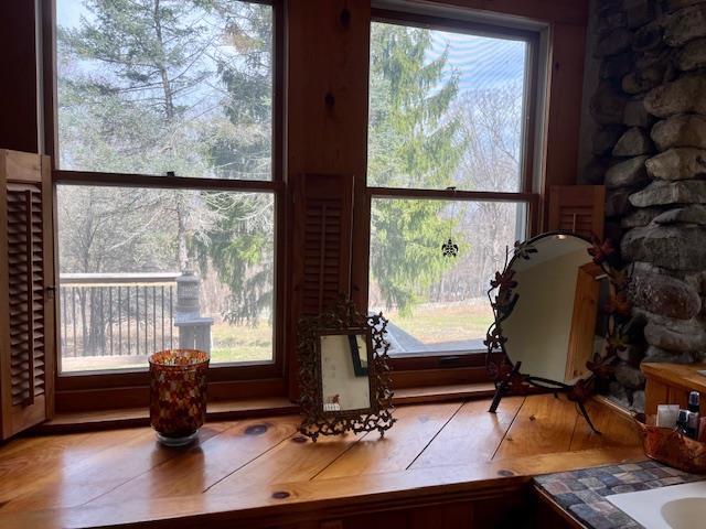 47 Mine Hill Road, Cornwall, New York image 28