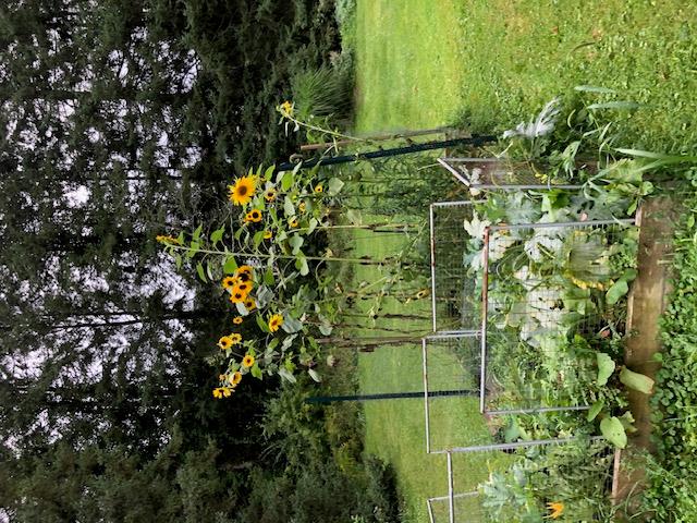 47 Mine Hill Road, Cornwall, New York image 39