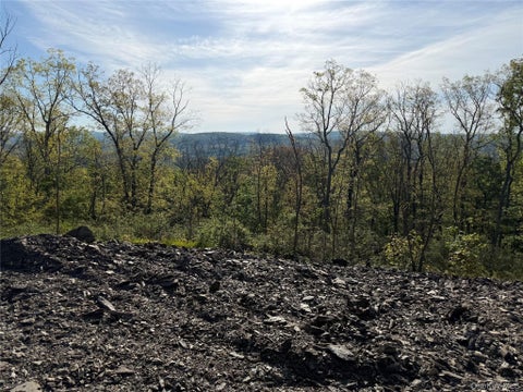 Vacant Land For Sale - Rocky Top Way<br/> Clinton Corners, NY 12514