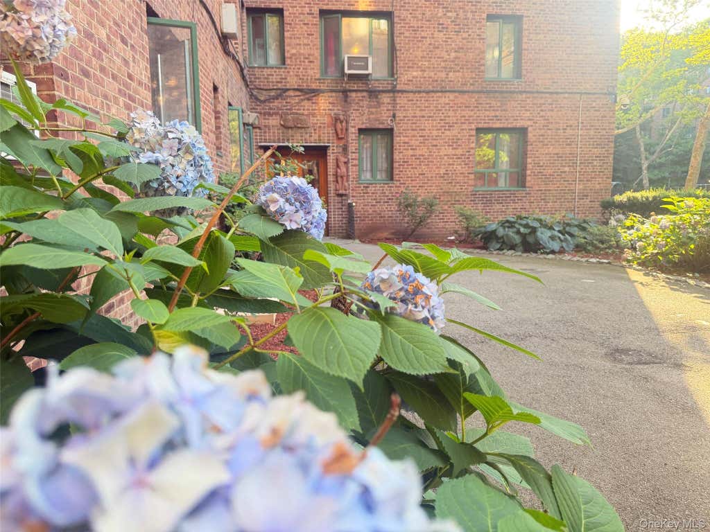 Photo of 1969 McGraw Avenue #6B, Bronx, NY 10462 (MLS # 1024751)