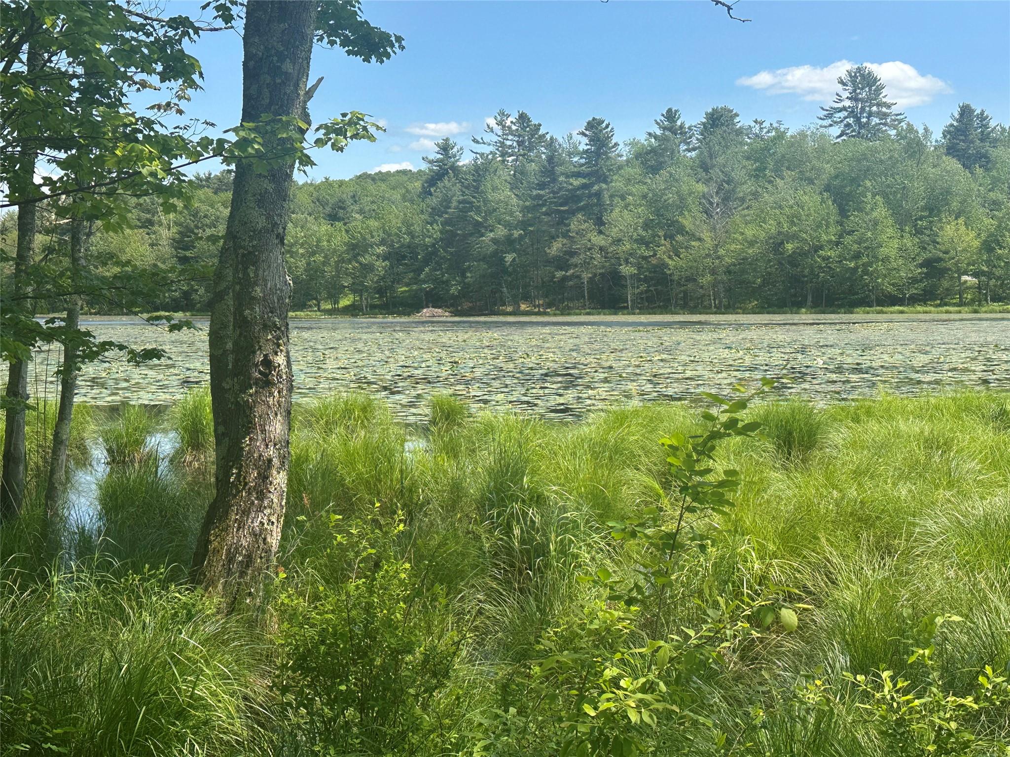 32 Lakeview Terrace, Monticello, New York image 18