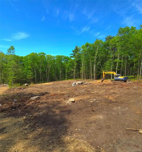 Vacant Land For Sale - 1027 Pine Kill<br/> Wurtsboro, NY 12790