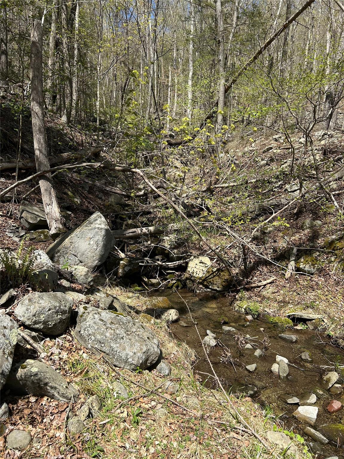 14 Hawk Mountain Drive, Sparrowbush, New York image 24