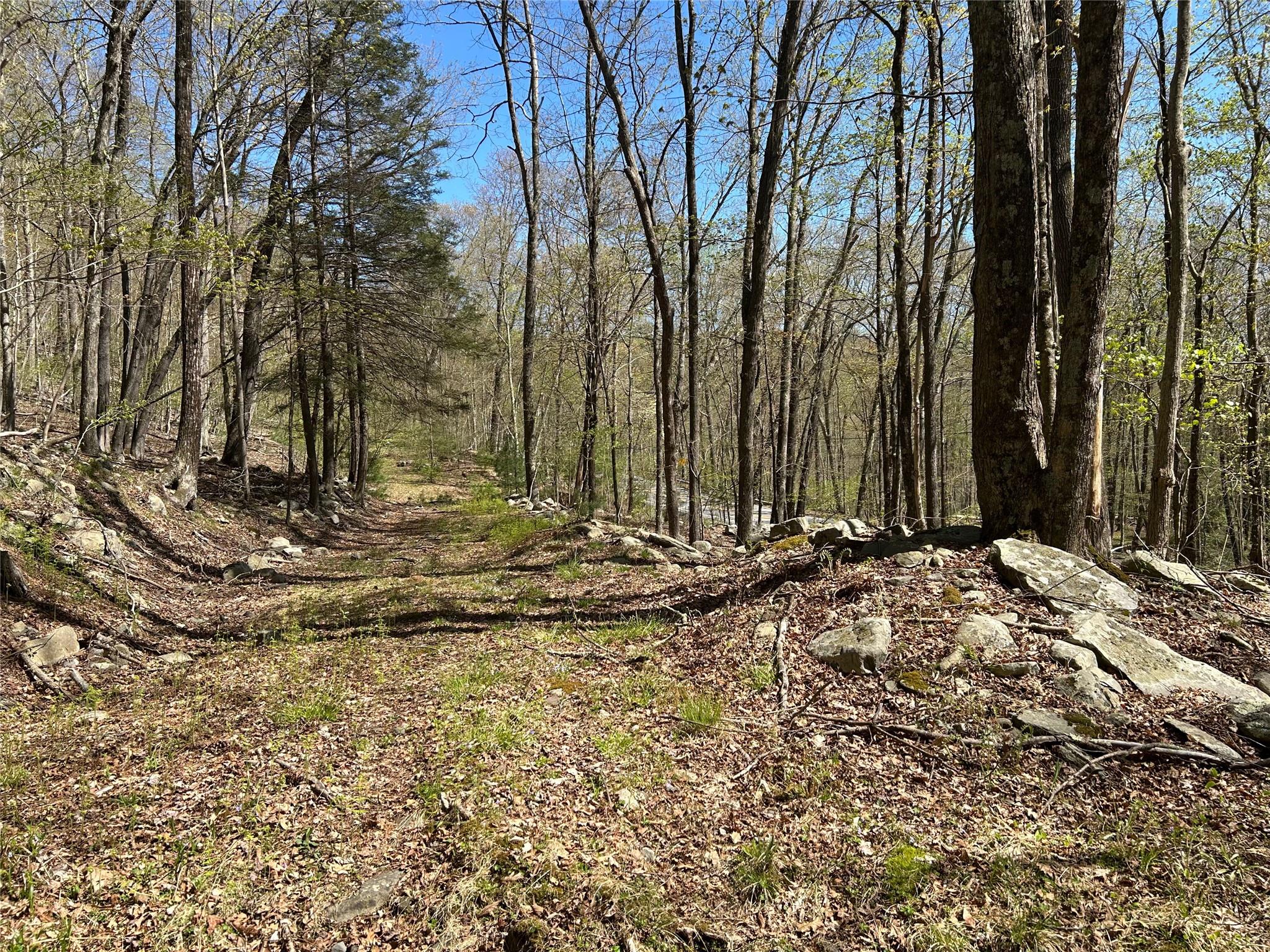 14 Hawk Mountain Drive, Sparrowbush, New York image 22