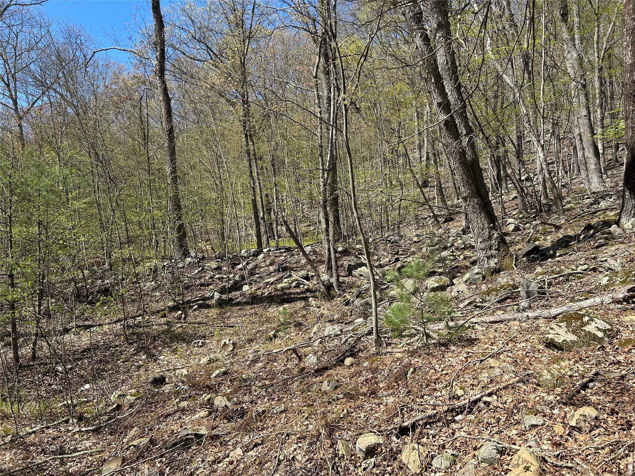 14 Hawk Mountain Drive, Sparrowbush, New York image 21