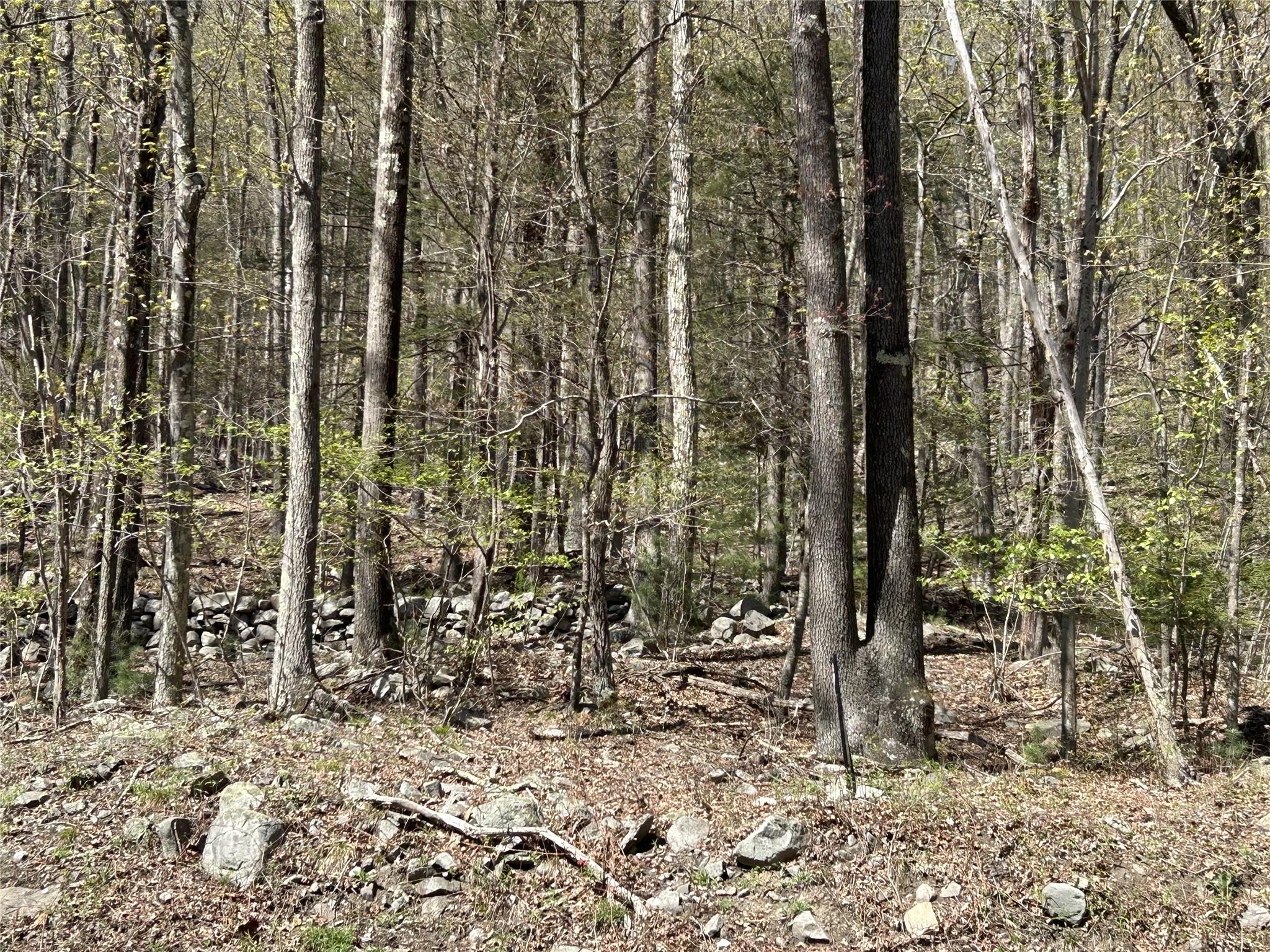 14 Hawk Mountain Drive, Sparrowbush, New York image 5