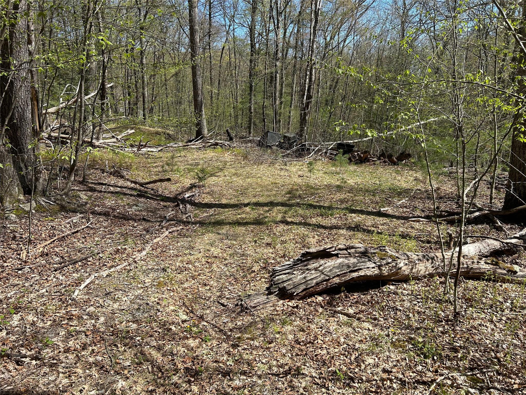 14 Hawk Mountain Drive, Sparrowbush, New York image 30