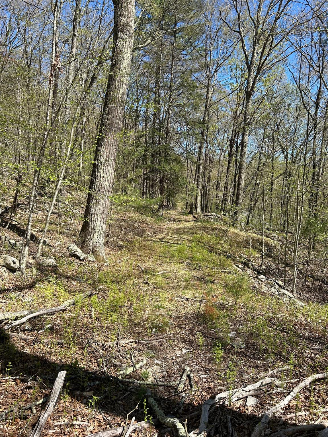 14 Hawk Mountain Drive, Sparrowbush, New York image 29
