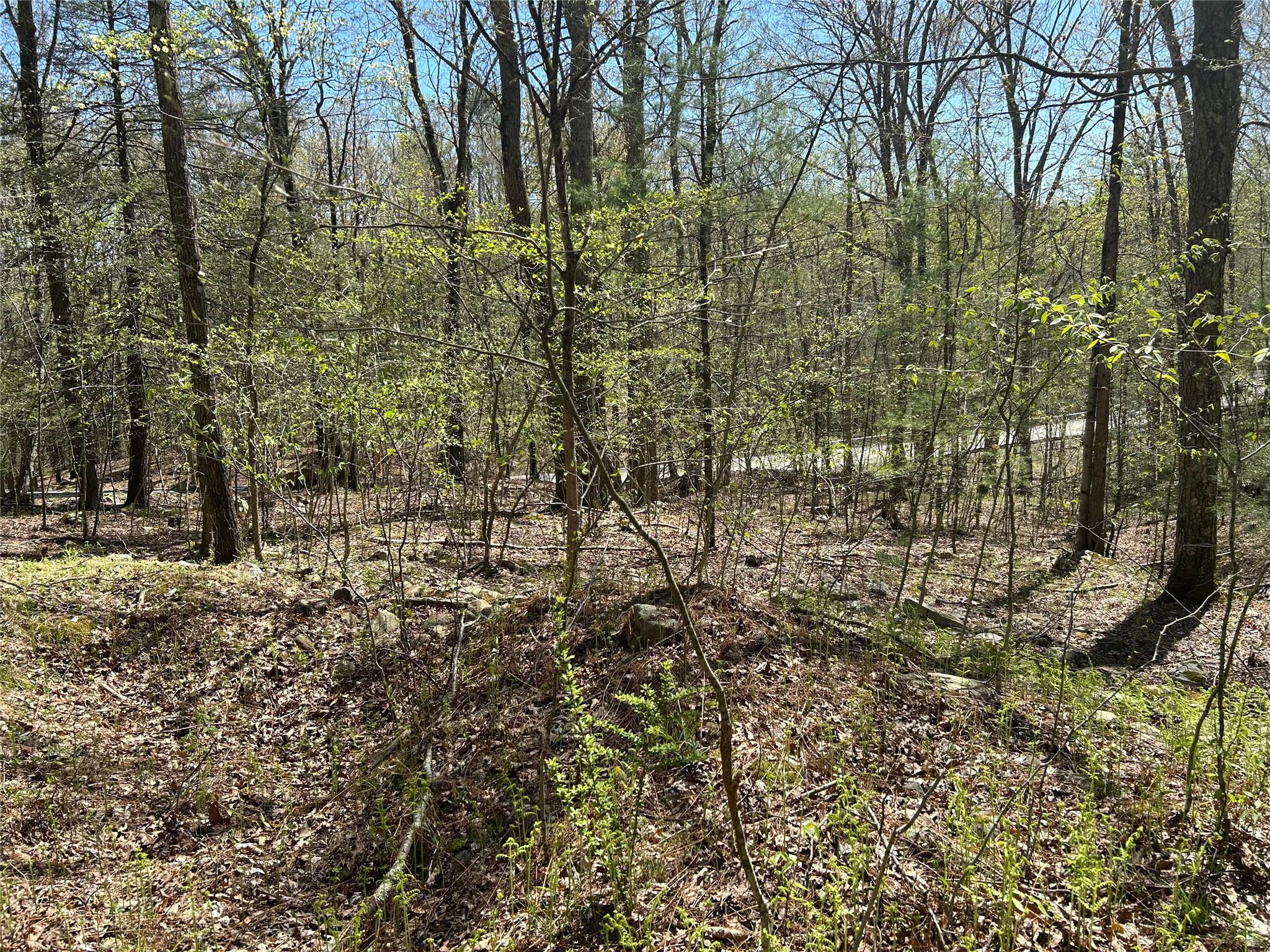 14 Hawk Mountain Drive, Sparrowbush, New York image 28