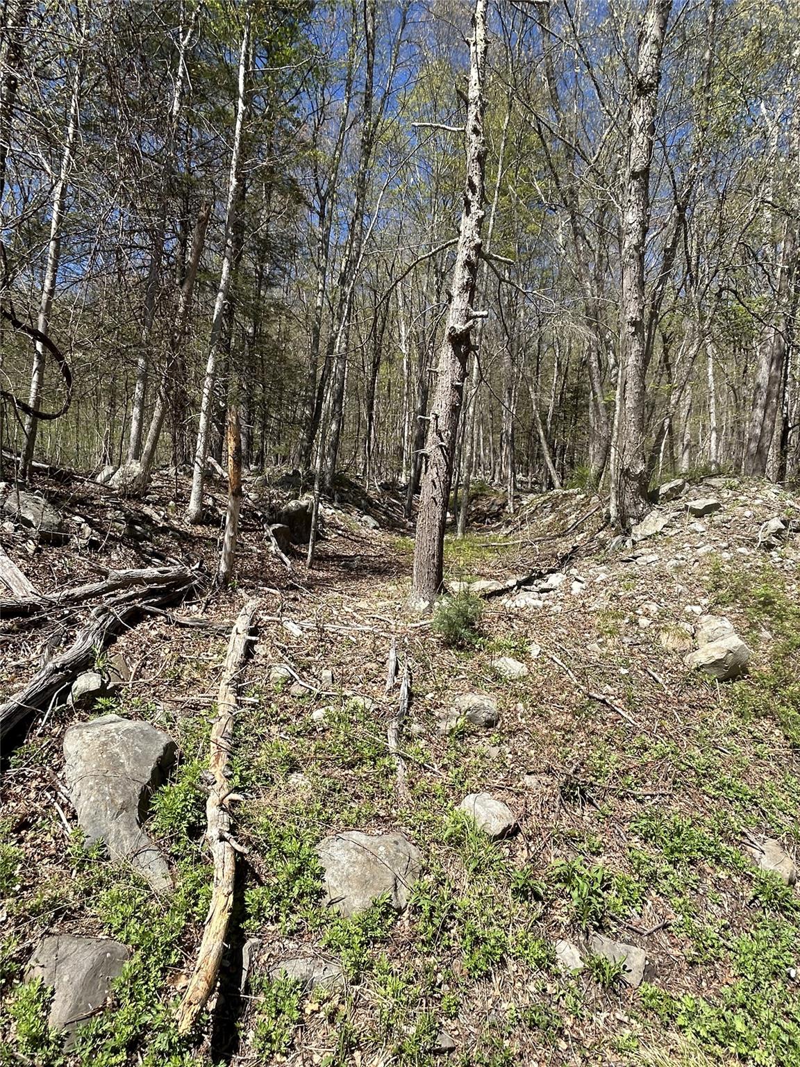 14 Hawk Mountain Drive, Sparrowbush, New York image 11