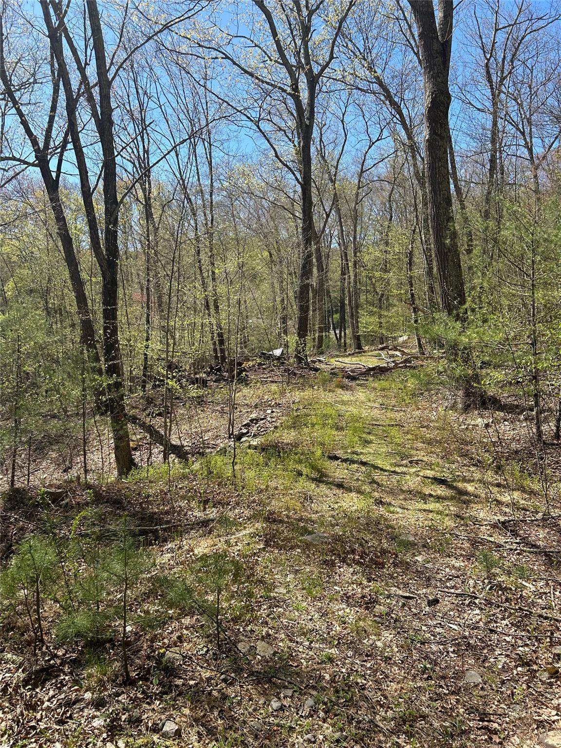 14 Hawk Mountain Drive, Sparrowbush, New York image 37