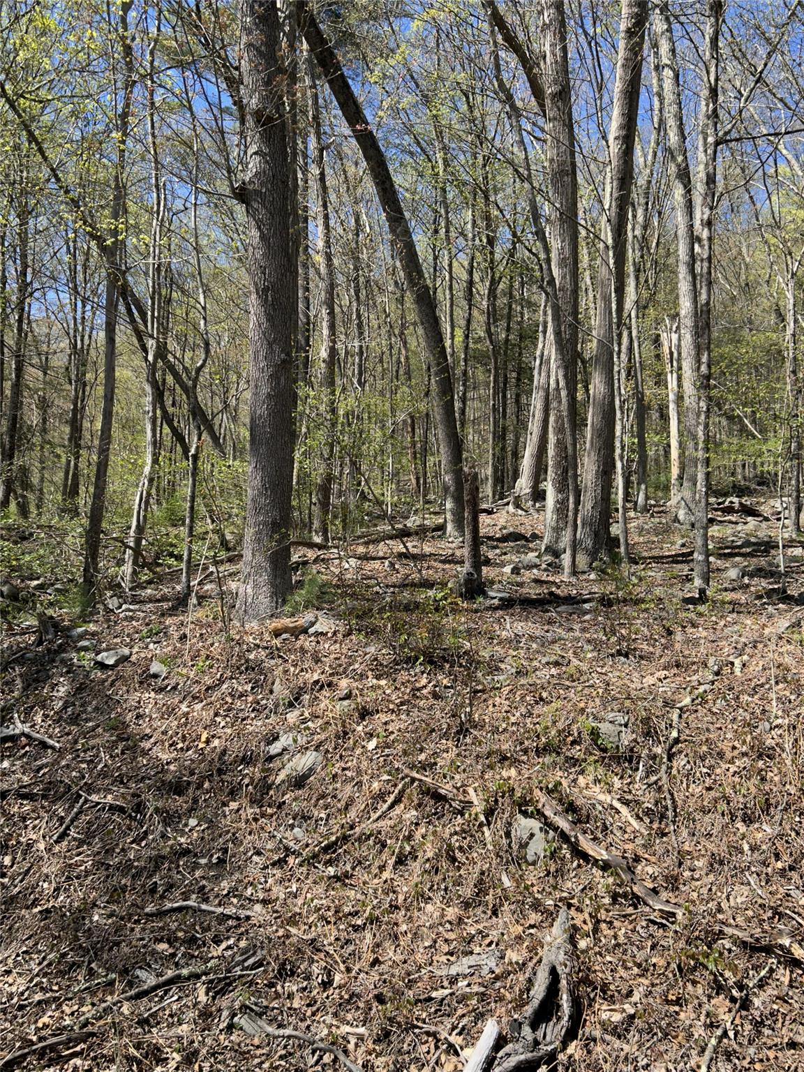 14 Hawk Mountain Drive, Sparrowbush, New York image 7