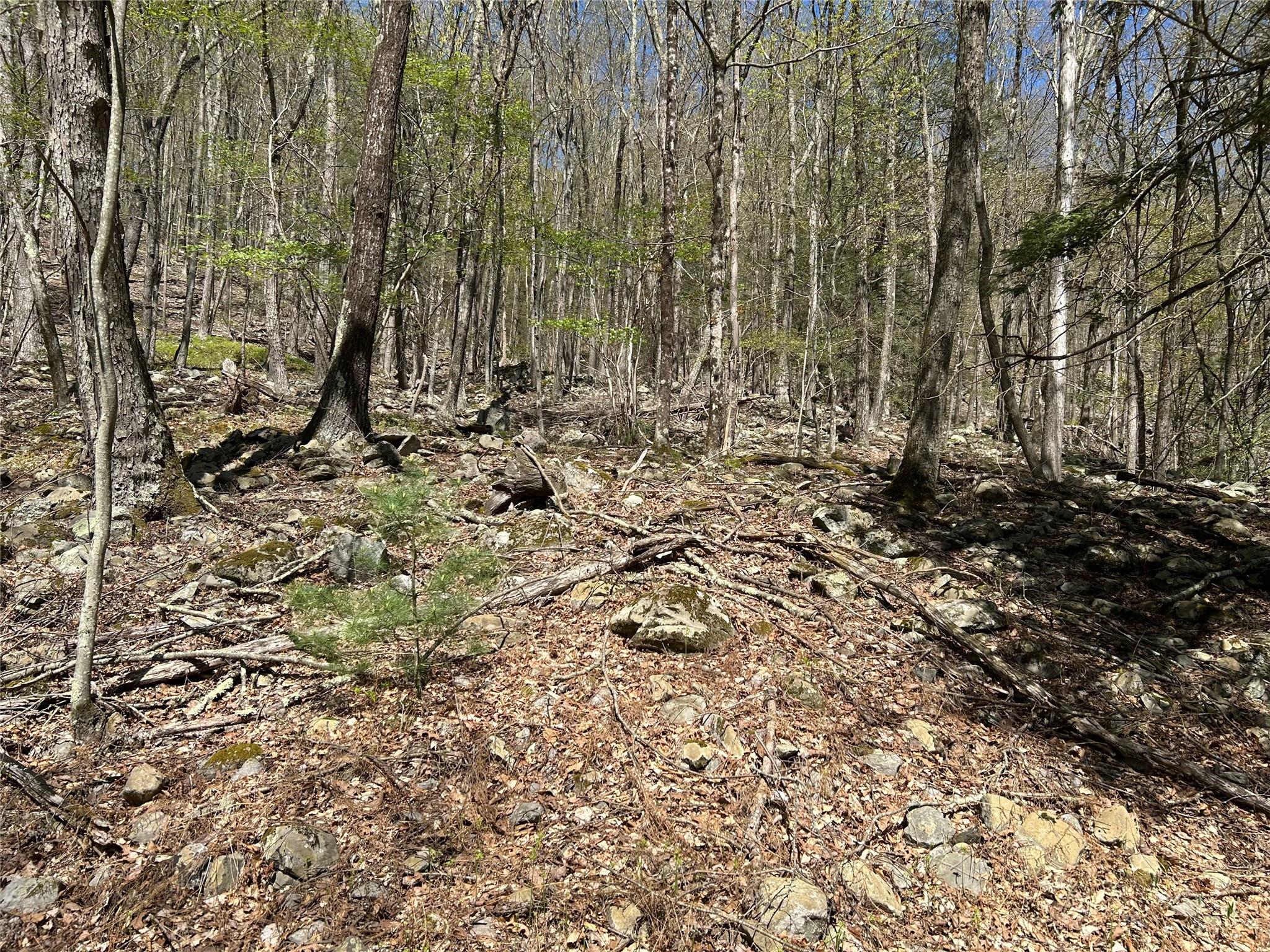 14 Hawk Mountain Drive, Sparrowbush, New York image 27