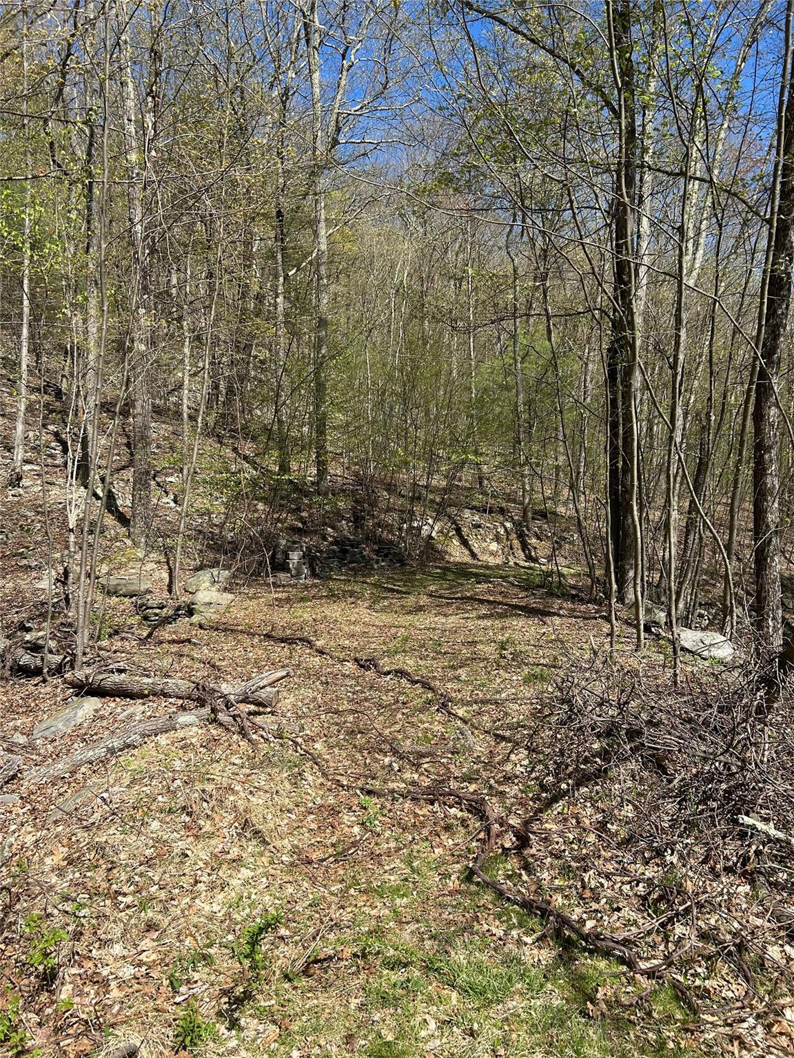 14 Hawk Mountain Drive, Sparrowbush, New York image 36