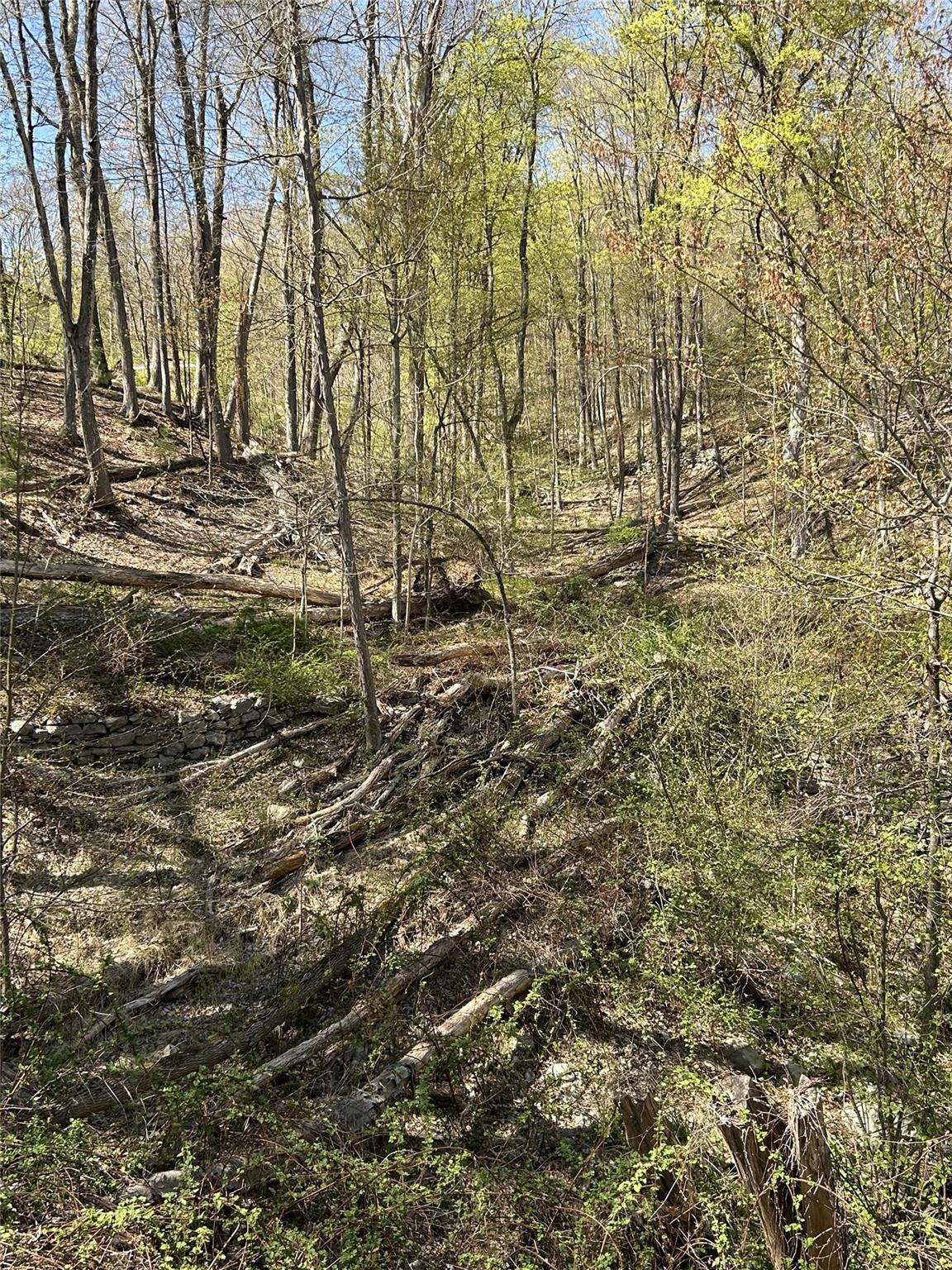 14 Hawk Mountain Drive, Sparrowbush, New York image 19