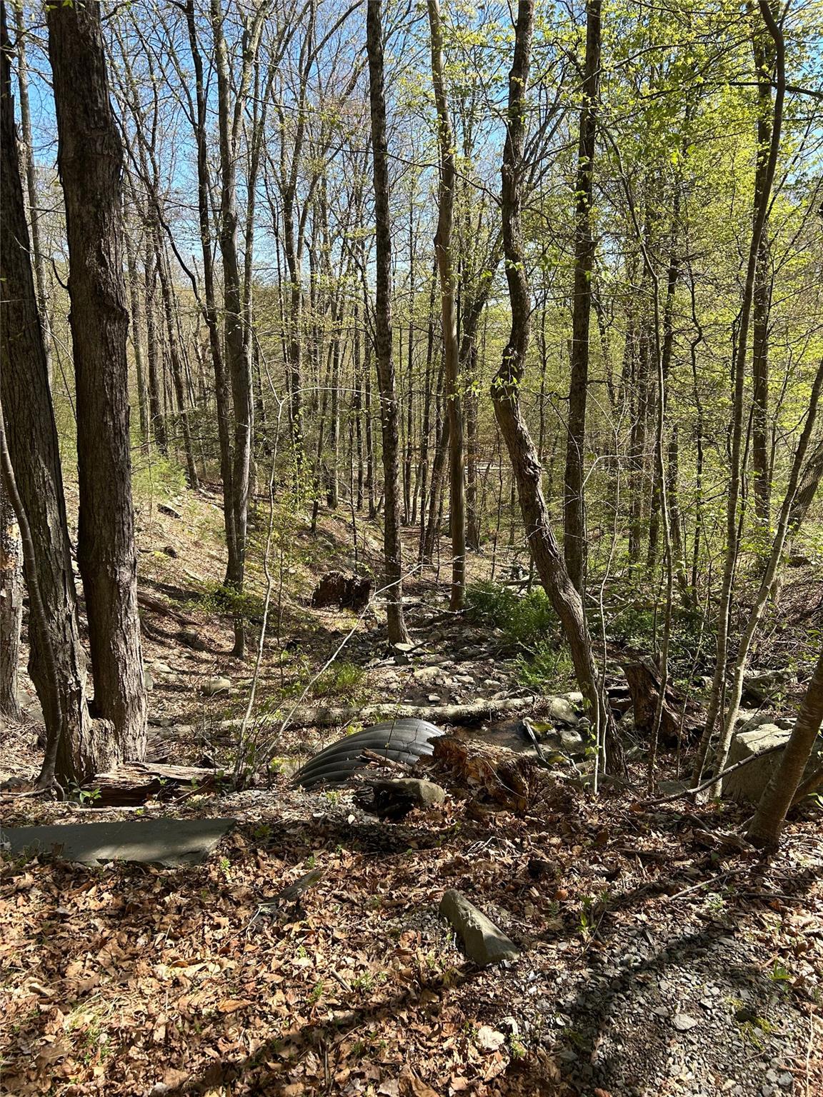 14 Hawk Mountain Drive, Sparrowbush, New York image 35