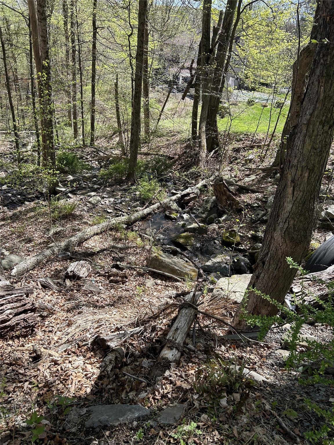14 Hawk Mountain Drive, Sparrowbush, New York image 3