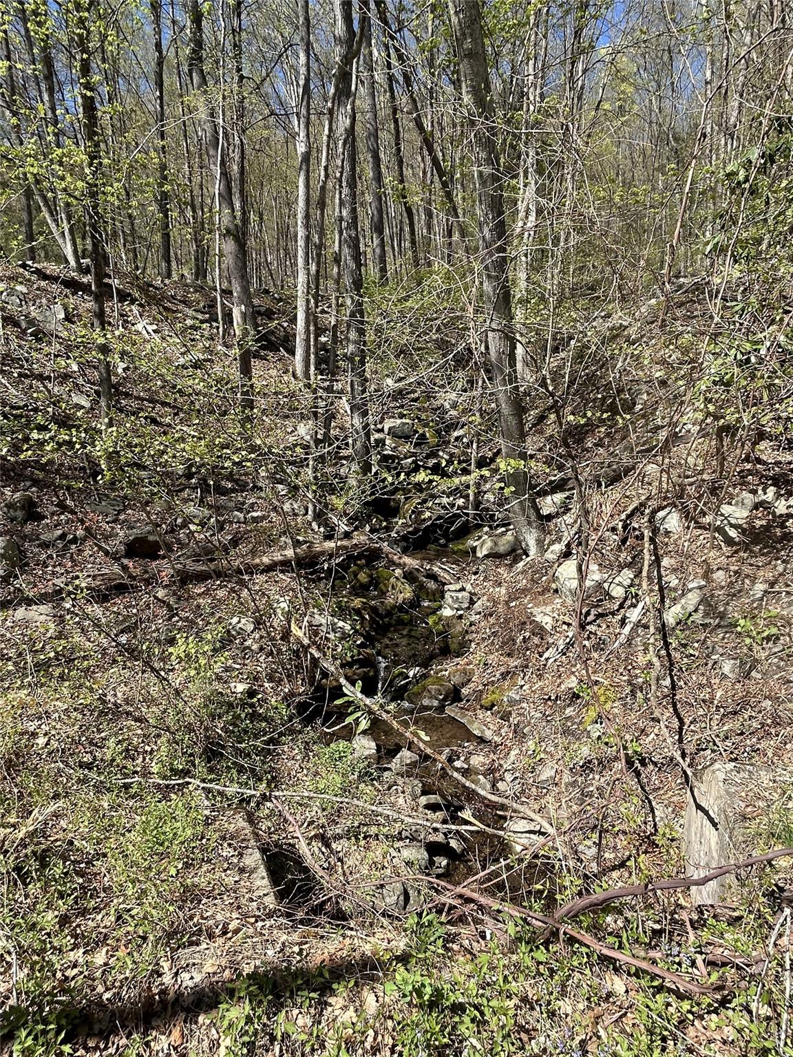 14 Hawk Mountain Drive, Sparrowbush, New York image 10