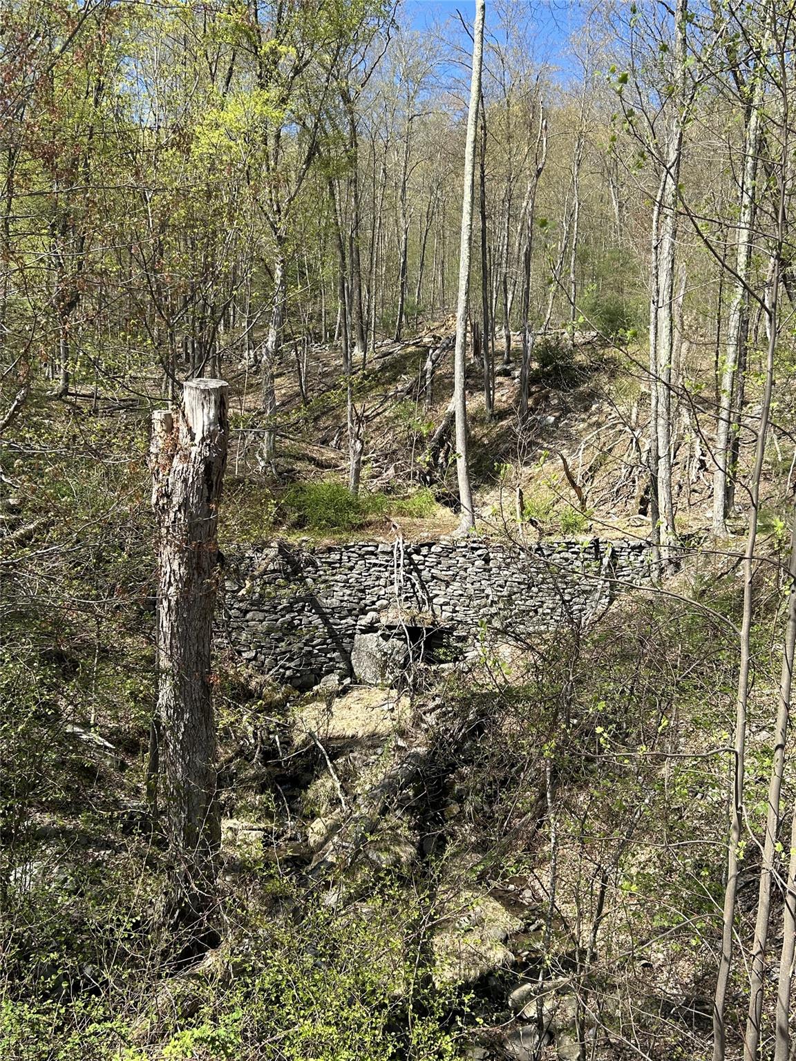 14 Hawk Mountain Drive, Sparrowbush, New York image 16