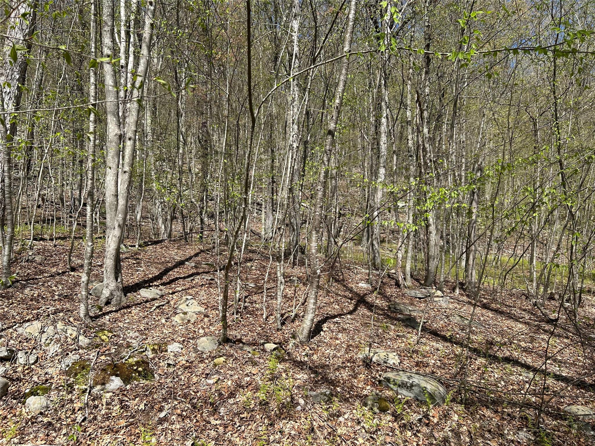 14 Hawk Mountain Drive, Sparrowbush, New York image 31