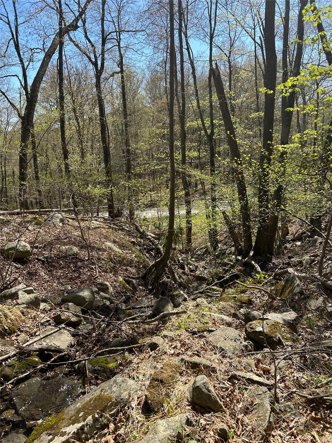 14 Hawk Mountain Drive, Sparrowbush, New York image 23