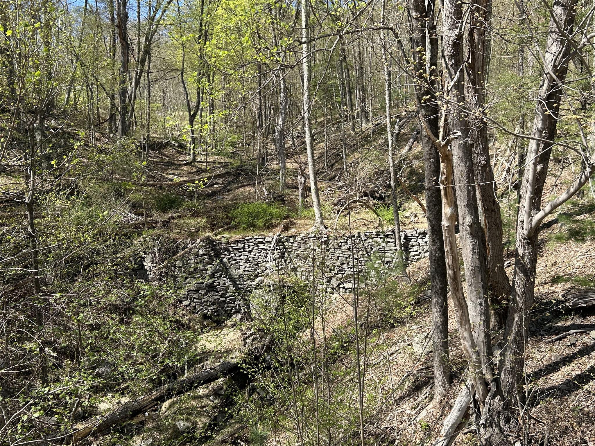14 Hawk Mountain Drive, Sparrowbush, New York image 14