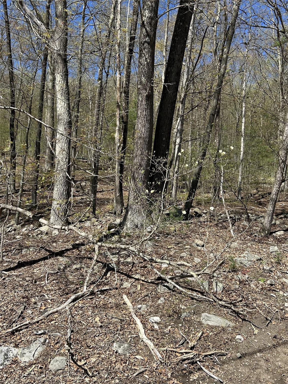 14 Hawk Mountain Drive, Sparrowbush, New York image 13