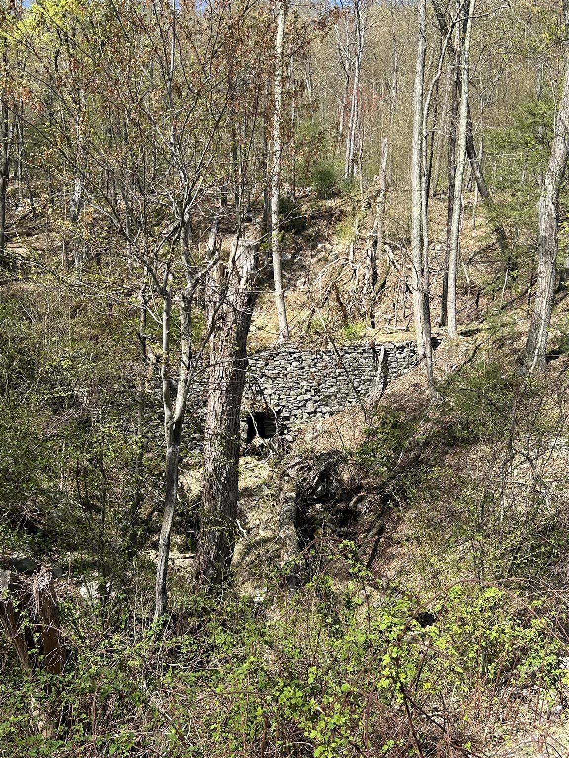 14 Hawk Mountain Drive, Sparrowbush, New York image 20