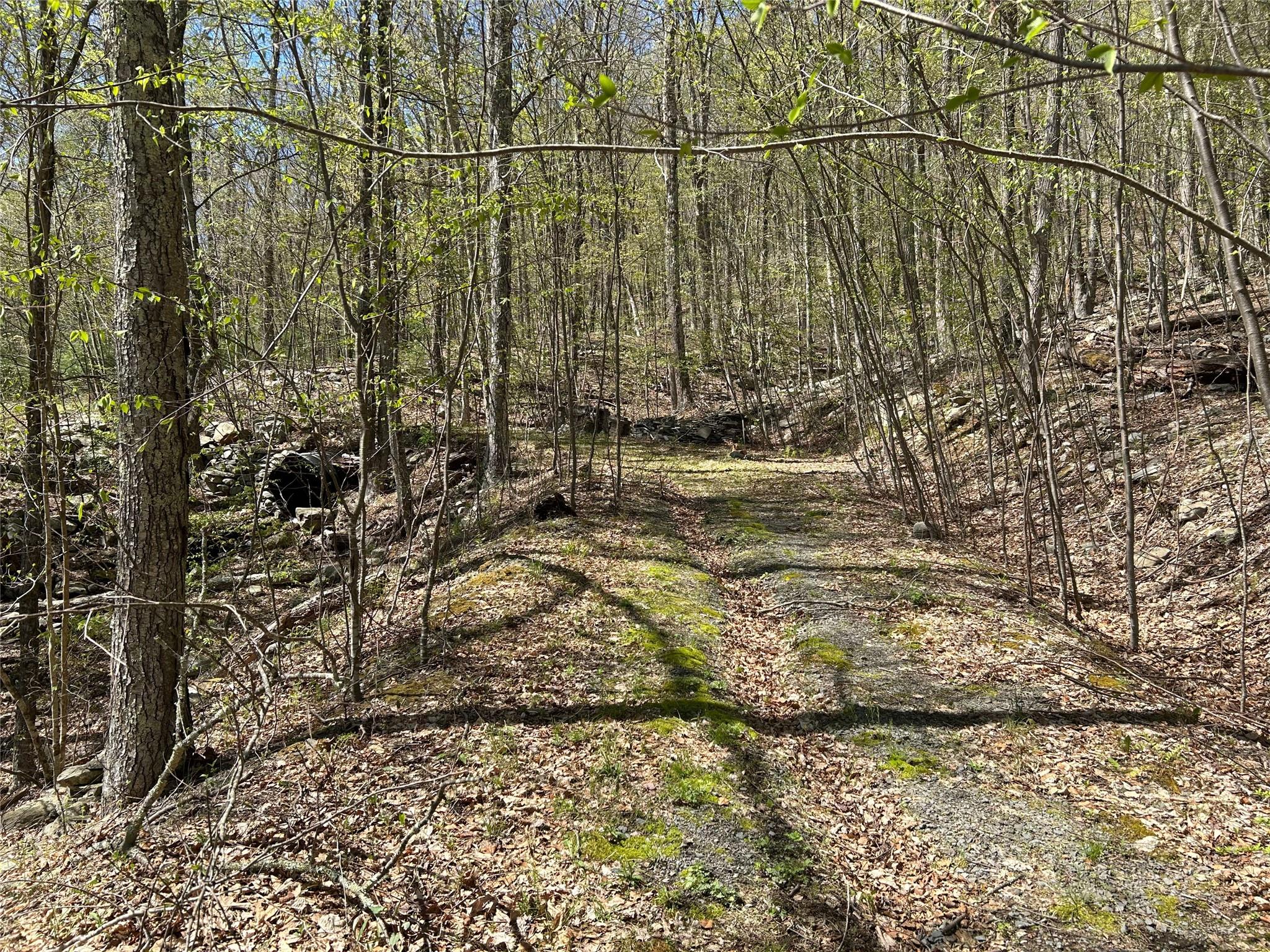 14 Hawk Mountain Drive, Sparrowbush, New York image 33