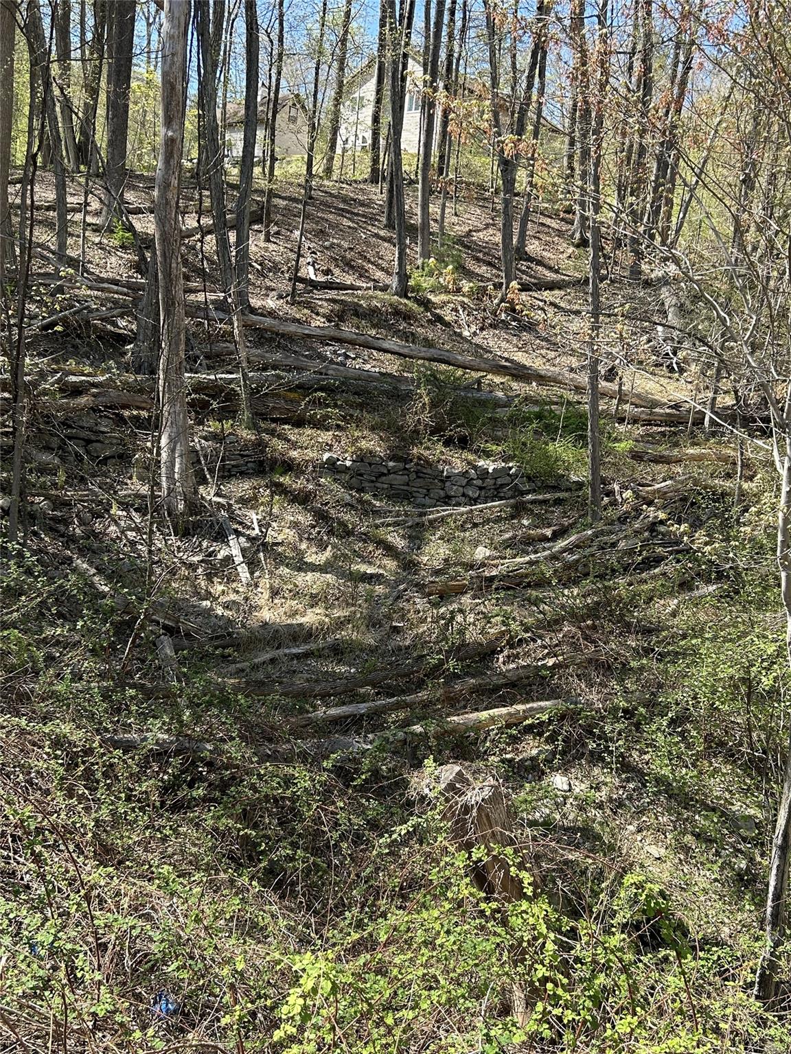 14 Hawk Mountain Drive, Sparrowbush, New York image 18