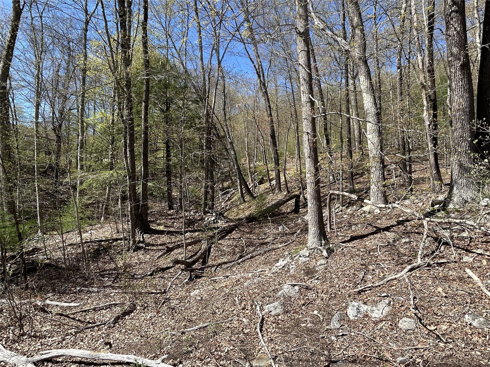 14 Hawk Mountain Drive, Sparrowbush, New York image 12