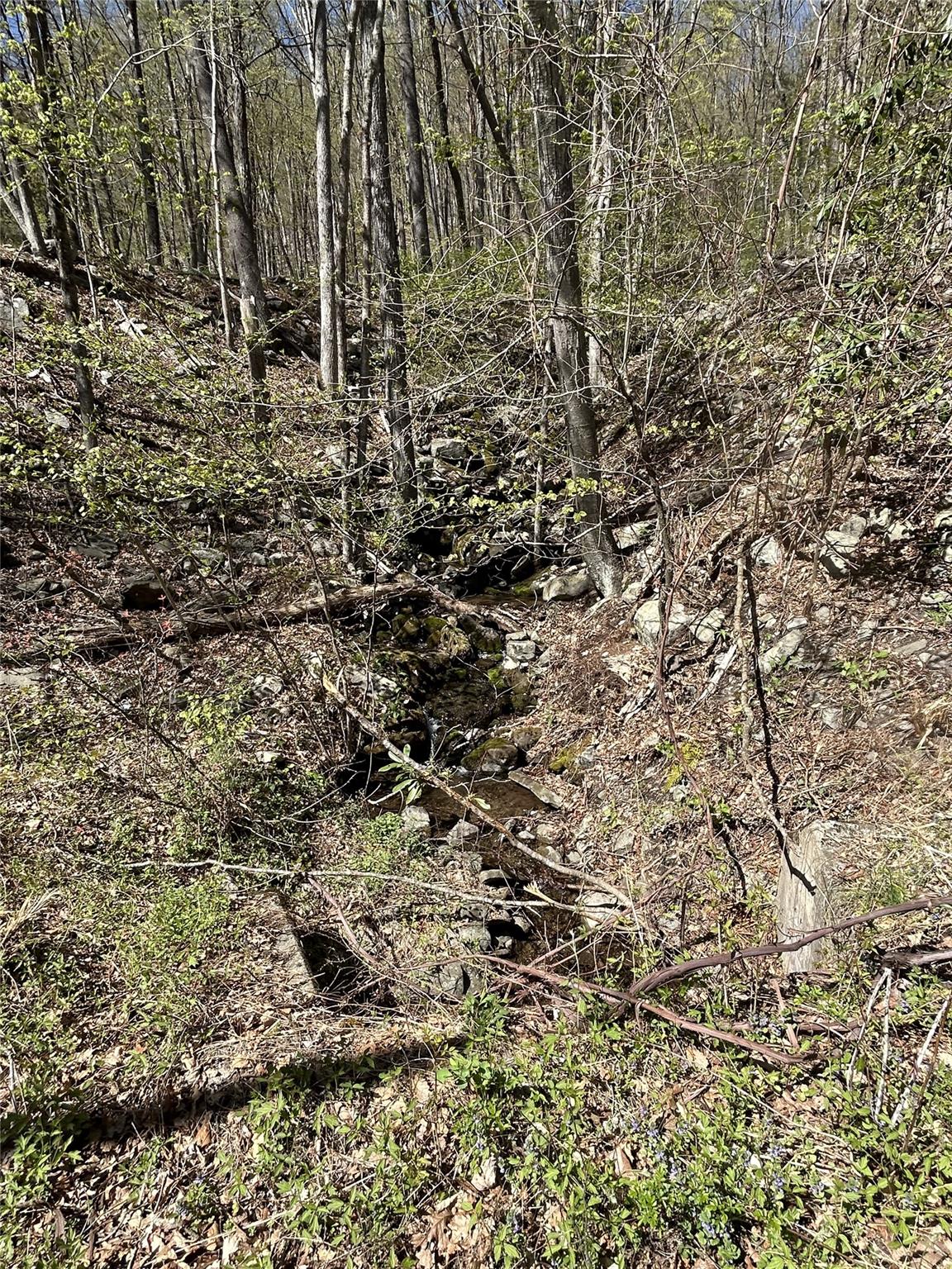 14 Hawk Mountain Drive, Sparrowbush, New York image 8