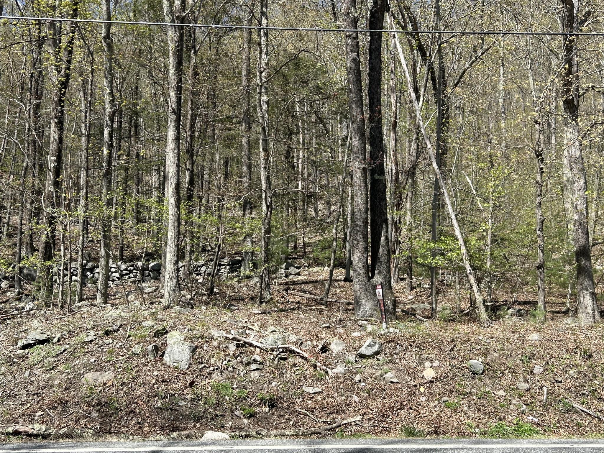 14 Hawk Mountain Drive, Sparrowbush, New York image 4