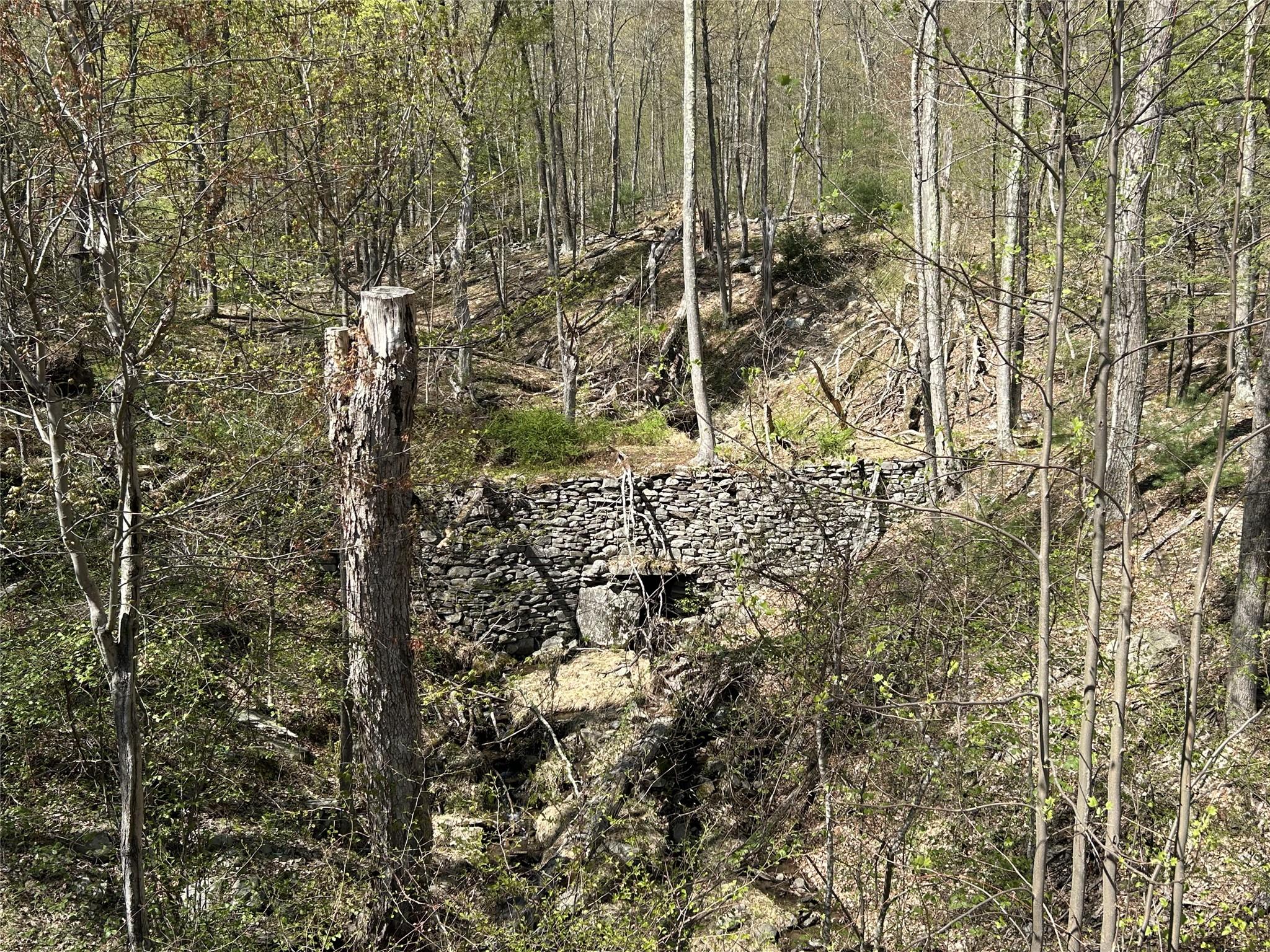 14 Hawk Mountain Drive, Sparrowbush, New York image 17