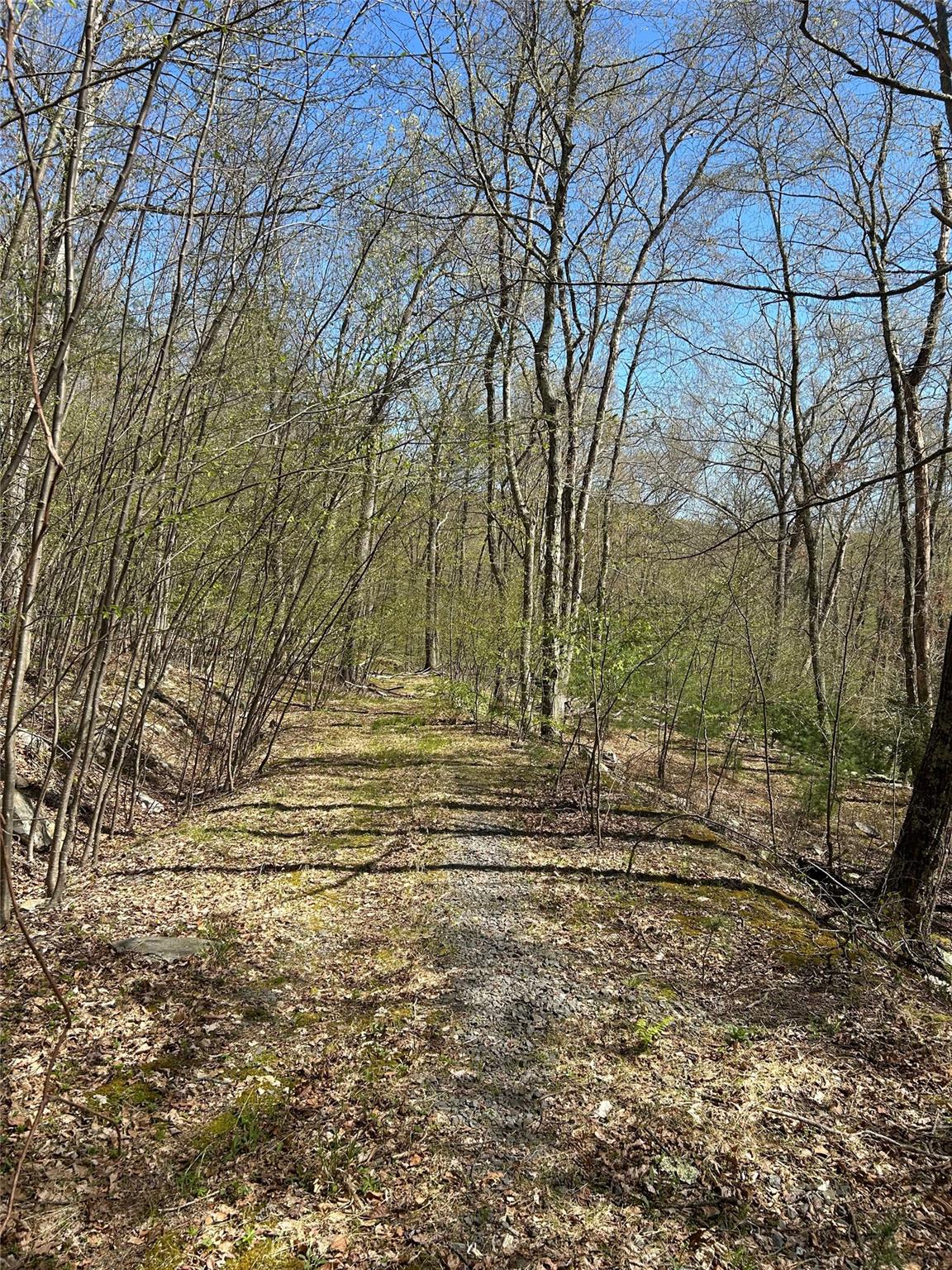14 Hawk Mountain Drive, Sparrowbush, New York image 32