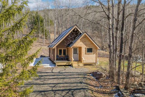 Homes For Sale - 191 Mill Road<br/> Delaware County, Margaretville, NY 12455