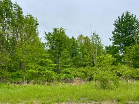 Vacant Land For Sale - Orchard Drive<br/> Ulster County, Plattekill, NY 12568