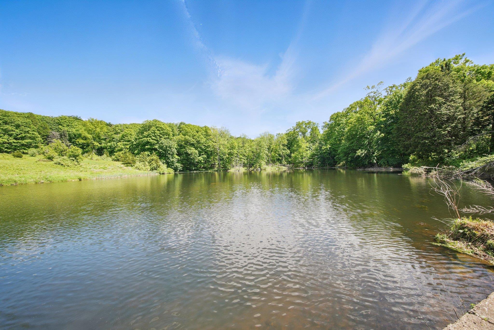 17 Bonnie Brook Road, Monroe, New York image 32