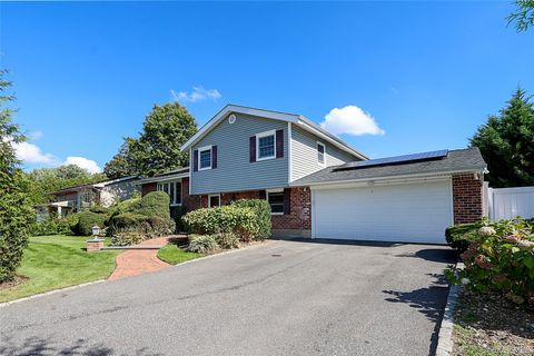 6 Lewis Avenue Jericho NY 11753