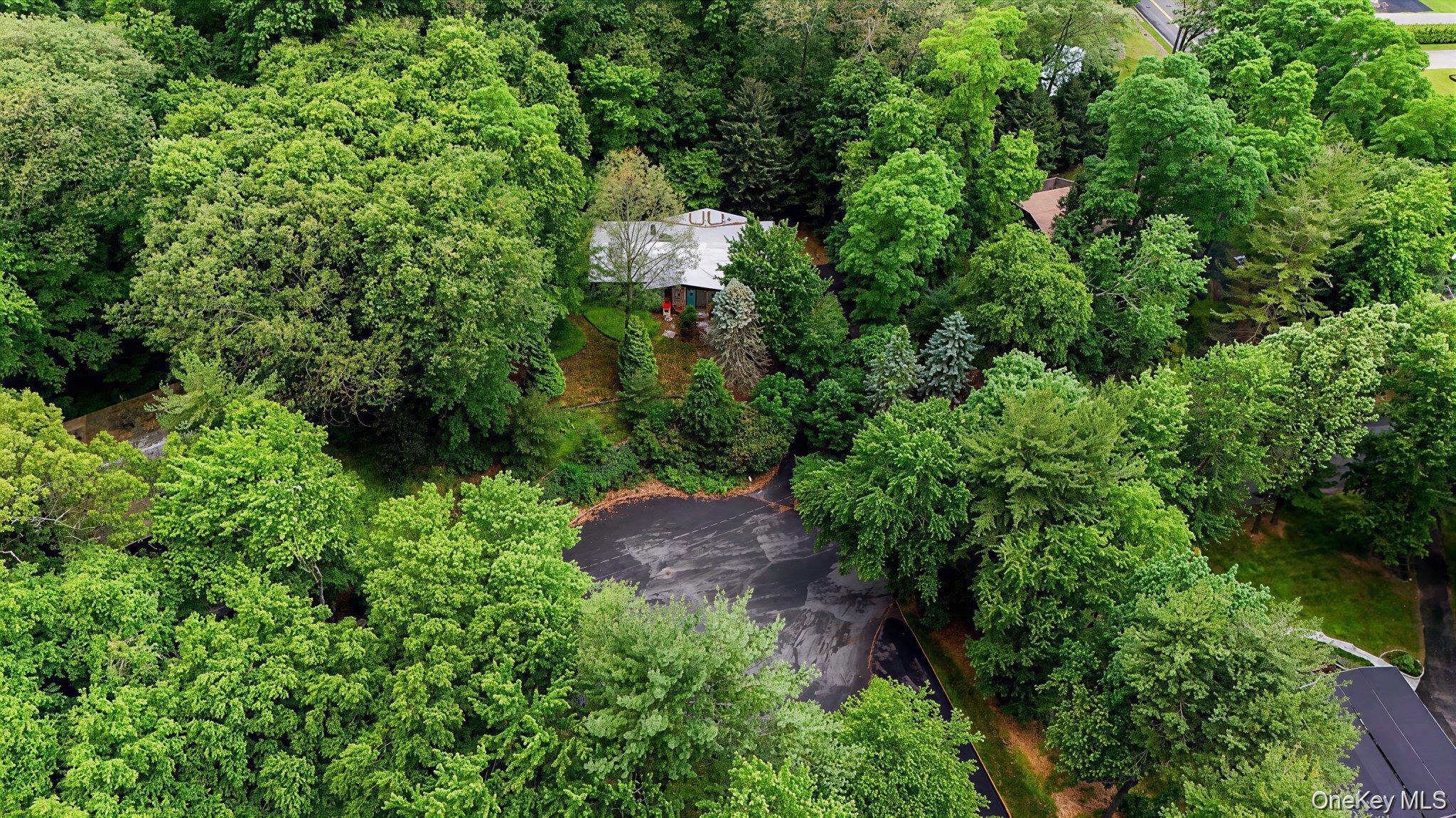 3 Forest Lane