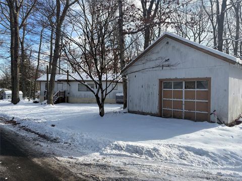 9 Otter Trail Glen Spey NY 12737