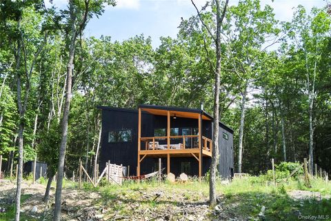 Homes For Sale - 224 Upper Lumber Road<br/> Glen Spey, NY 12737