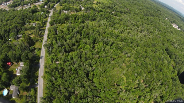 CO HWAY 158, FALLSBURG, NY 12733 - Image 3f66b6bdbbbebcaa6a926f7dfd2cd402/1616078457