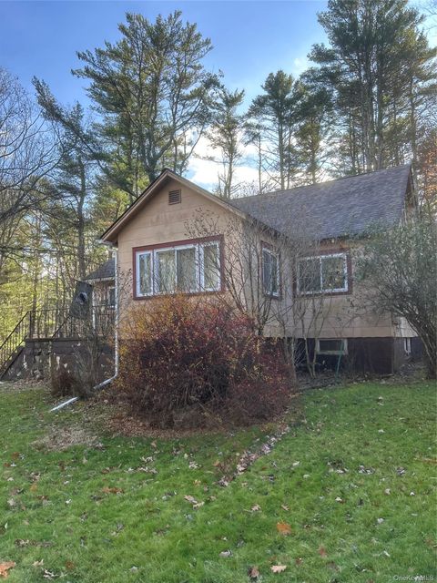 Homes For Sale - 65 Eldred Yulan Road<br/> Sullivan County, Eldred, NY 12732