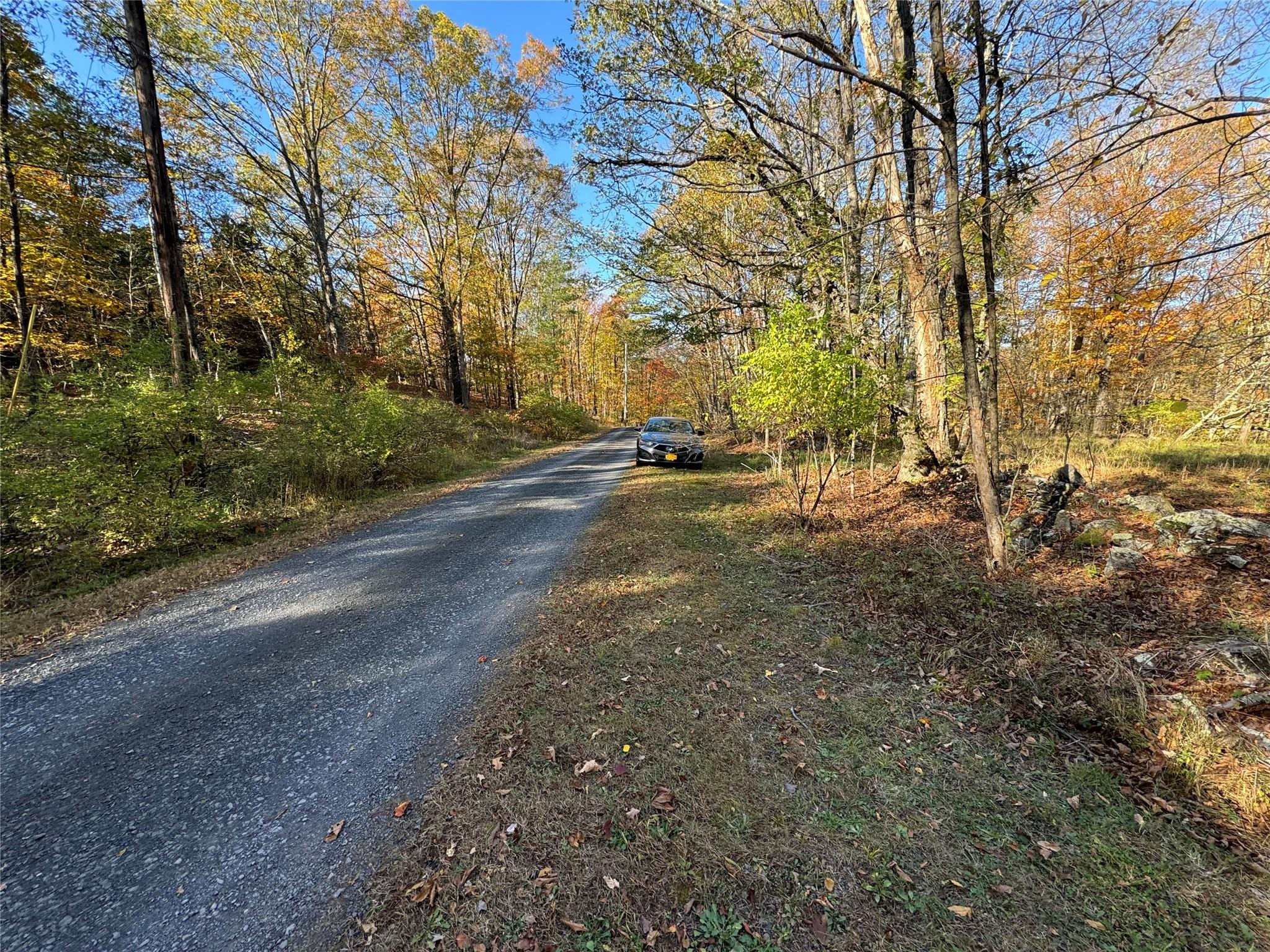 Joseph Lane, Cairo, New York -  - 