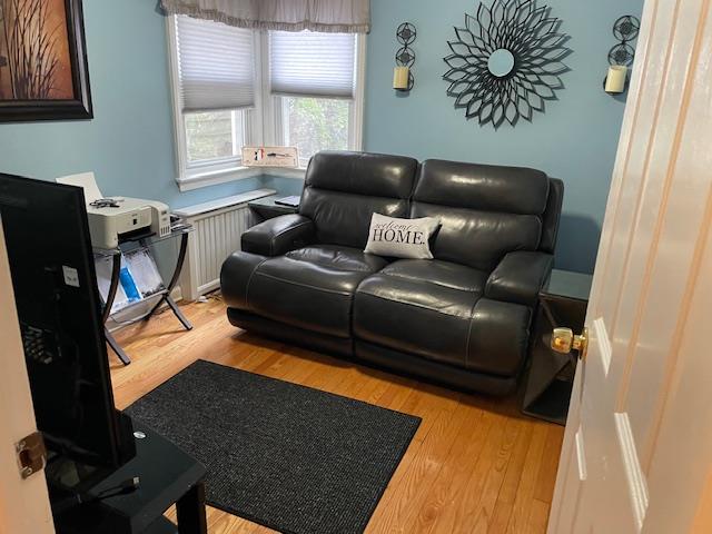 183 Locust Street, Floral Park, New York image 7
