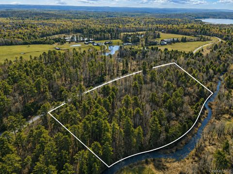 Vacant Land For Sale - Chapin Trail<br/> White Lake, NY 12786