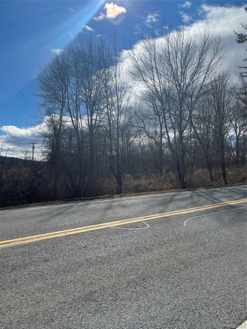 Vacant Land For Sale - Noxon Road<br/> Lagrangeville, NY 12540