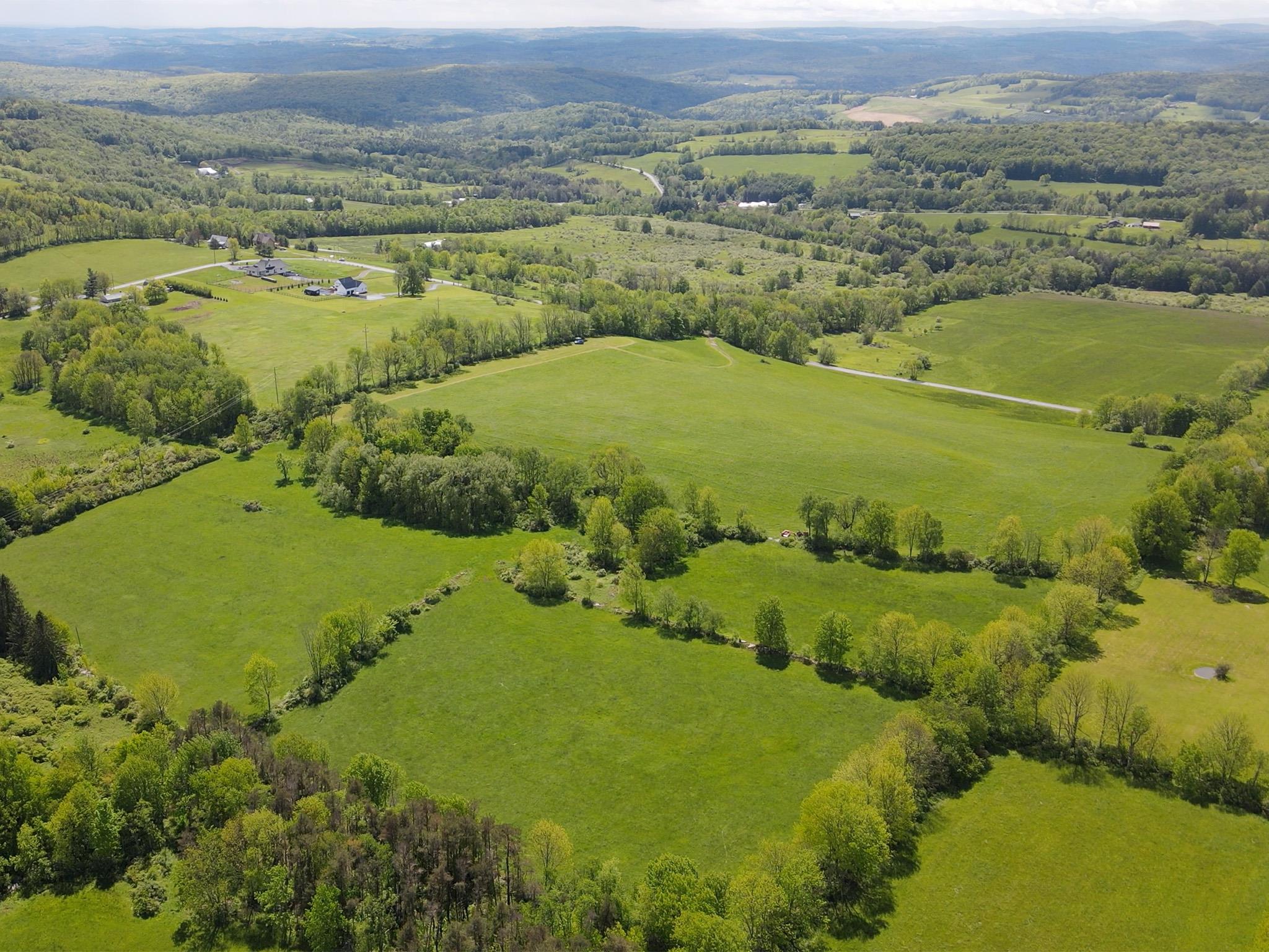 00 Beechwoods Road, Callicoon, New York image 1